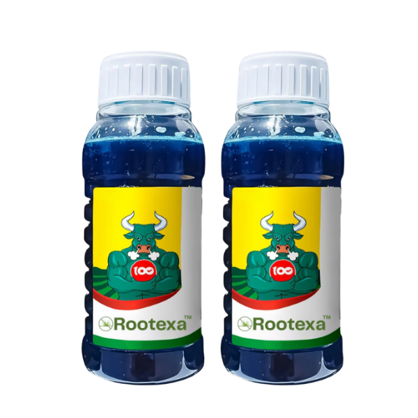 Rootexa™ UK - P